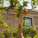 Casa Pitoresca - Refugio Esposende 布拉加