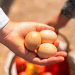 Casa Pitoresca - Refugio Esposende Holiday home