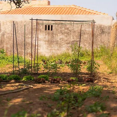 Casa vacanze Casa Pitoresca - Refugio Esposende *
