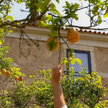 Holiday home Casa Pitoresca - Refugio Esposende *