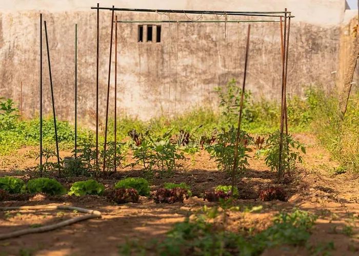 Casa vacanze Casa Pitoresca - Refugio Esposende *