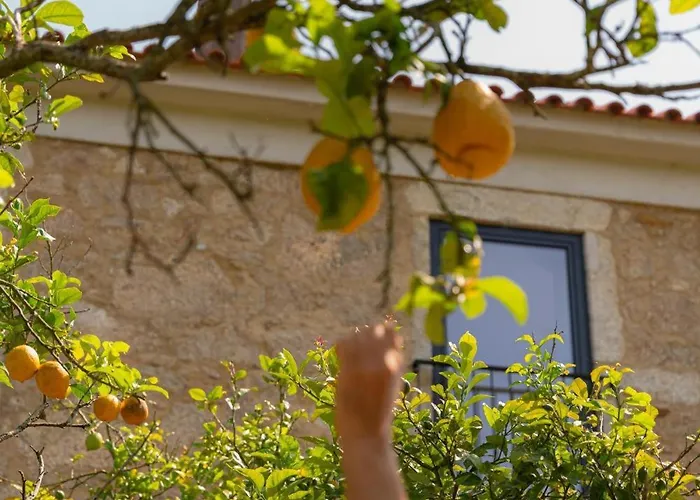 Casa Pitoresca - Refugio Esposende Braga