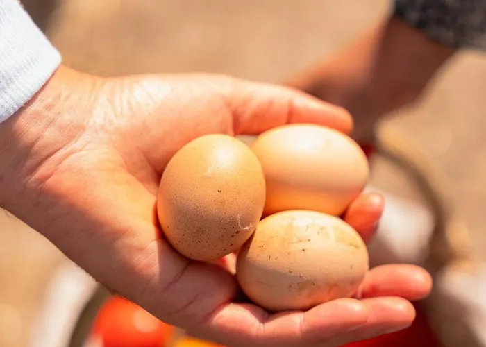 Casa Pitoresca - Refugio Esposende Casa vacanze