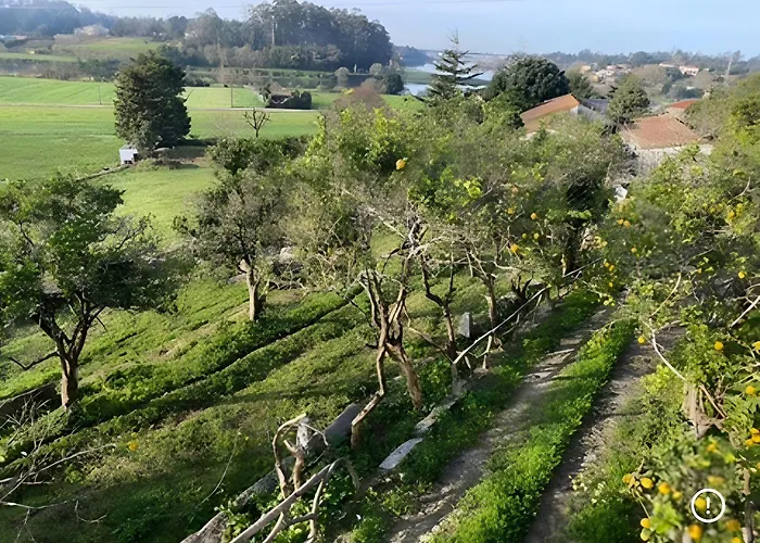 Casa Pitoresca - Refugio Esposende Braga